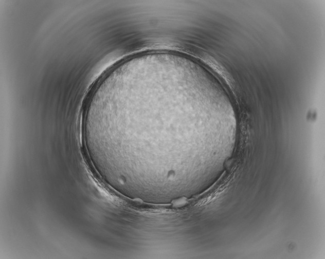 X0000093521127200710261213