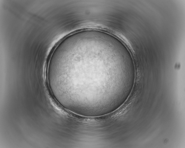 X0000093521128200710261213