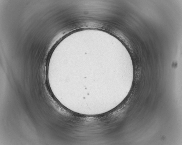 X0000093521130200710261213