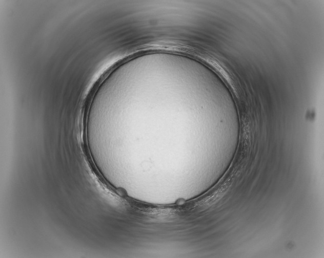 X0000093521131200710261213