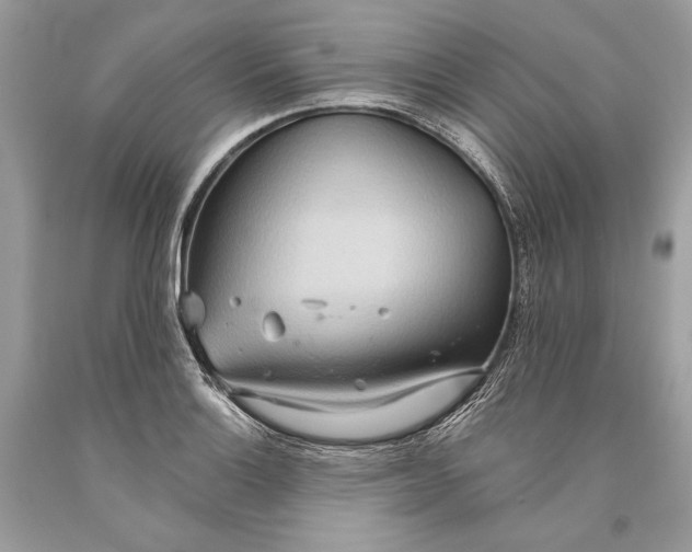 X0000093521132200710261213