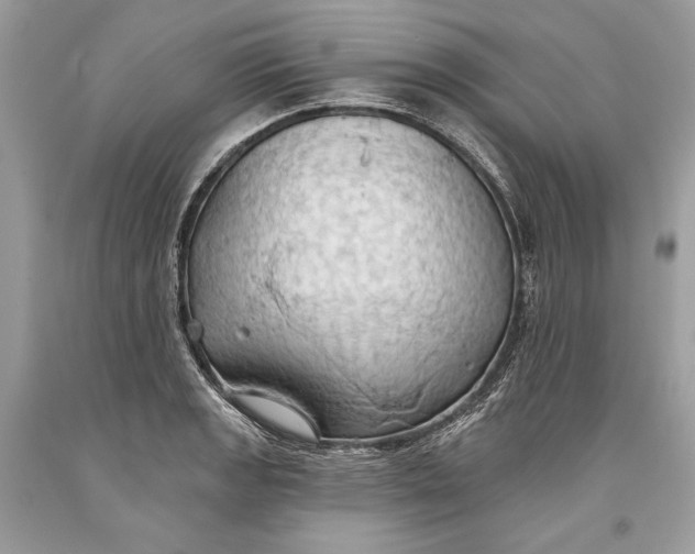 X0000093521133200710261213