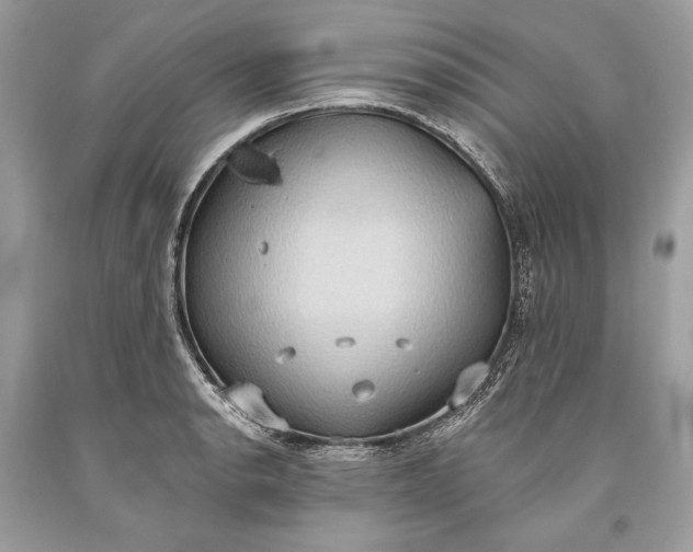 X0000093521134200710261214