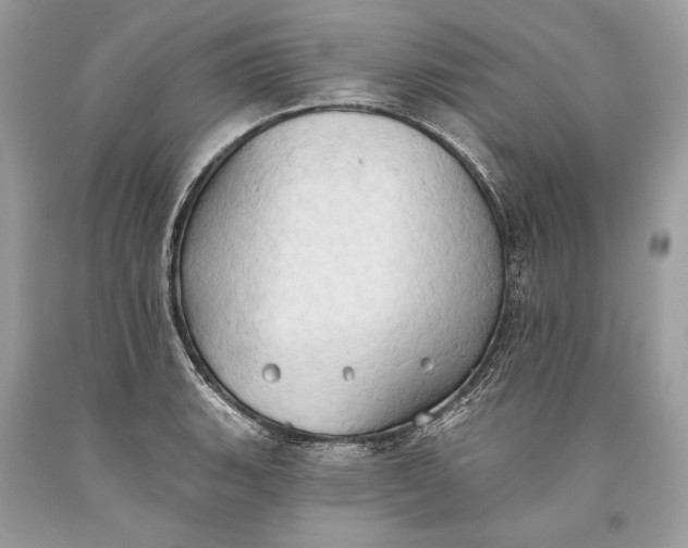 X0000093521135200710261214