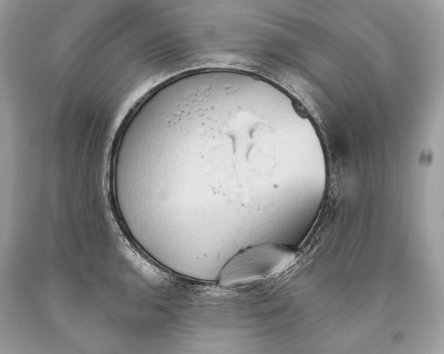 X0000093521136200710261214