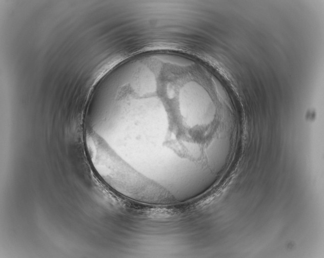 X0000093521137200710261214