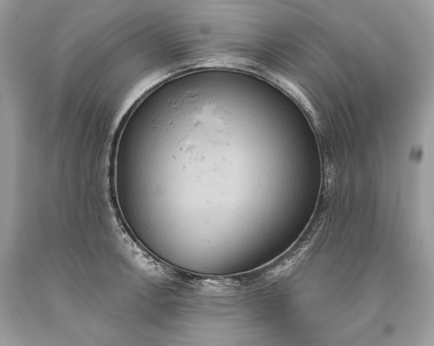 X0000093521138200710261214