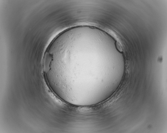 X0000093521140200710261214