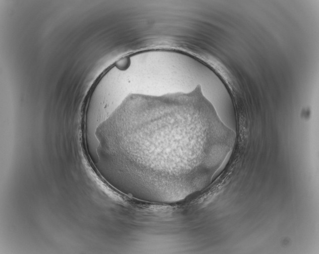 X0000093521142200710261214