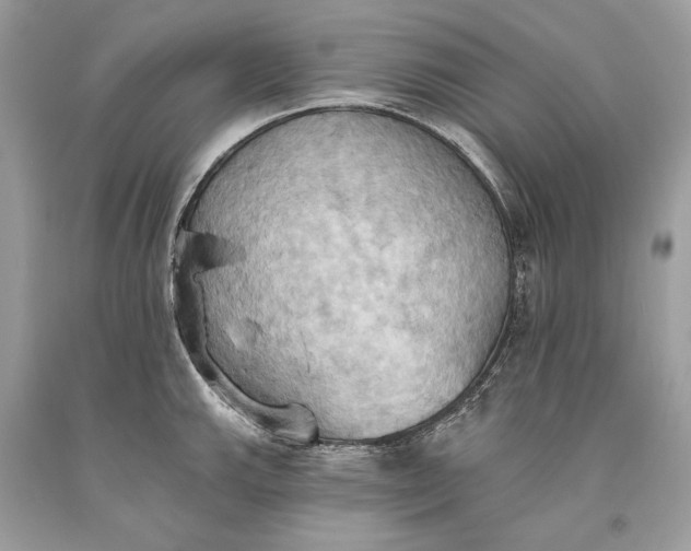 X0000093521143200710261214