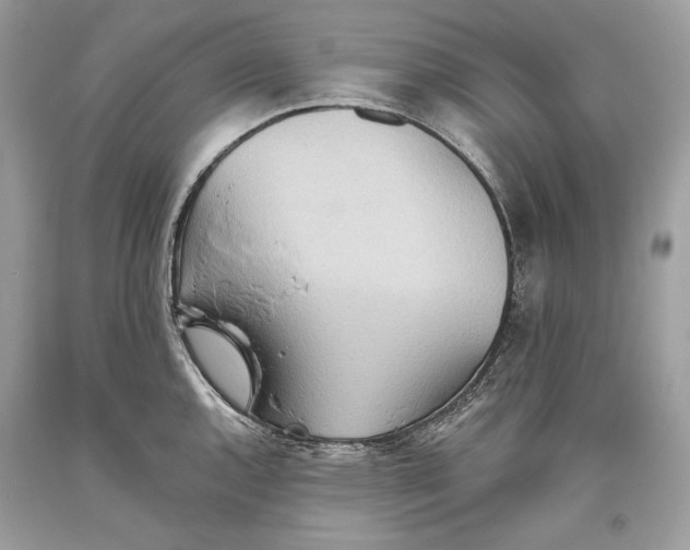 X0000093521144200710261214