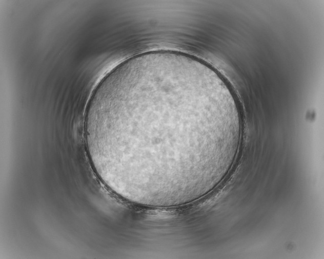 X0000093521145200710261214