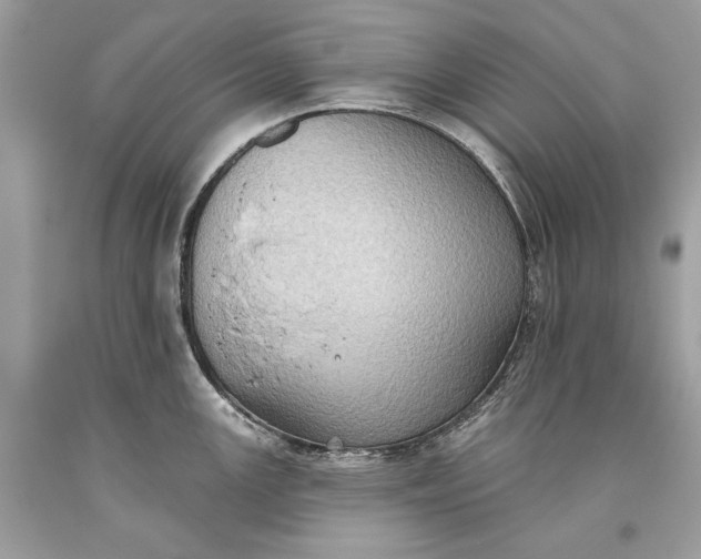 X0000093521147200710261214