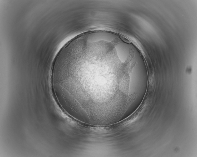 X0000093521149200710261214