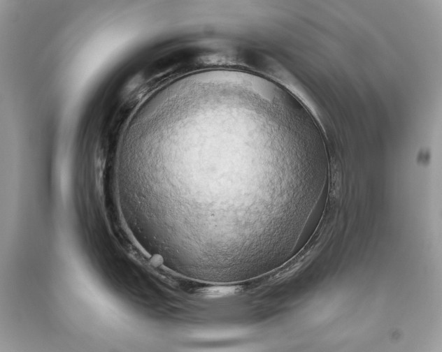 X0000093521151200710261214