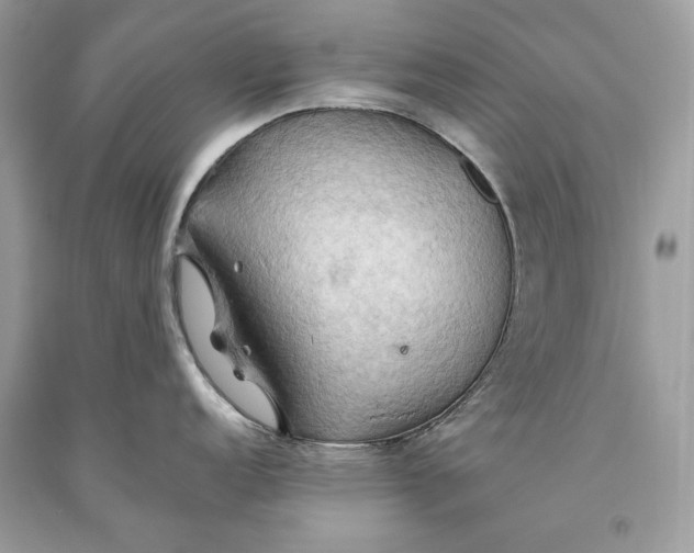 X0000093521152200710261214