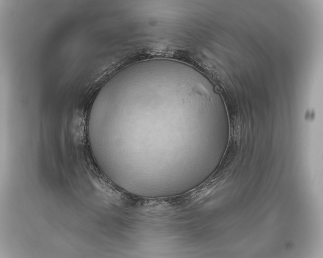 X0000093521154200710261213