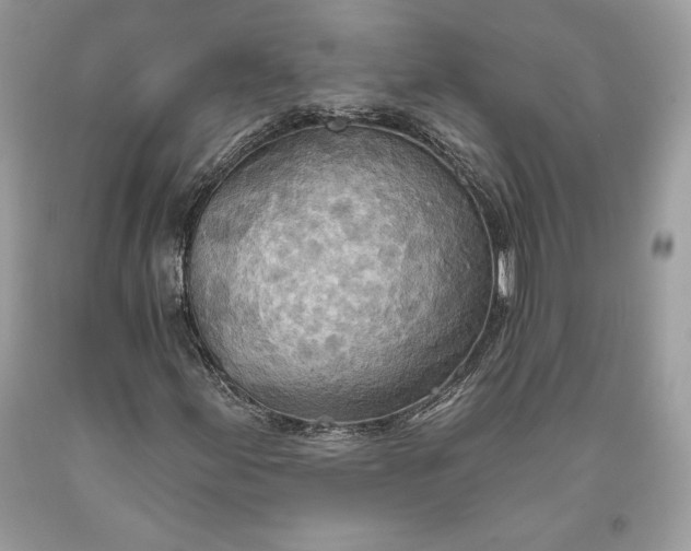 X0000093521155200710261213