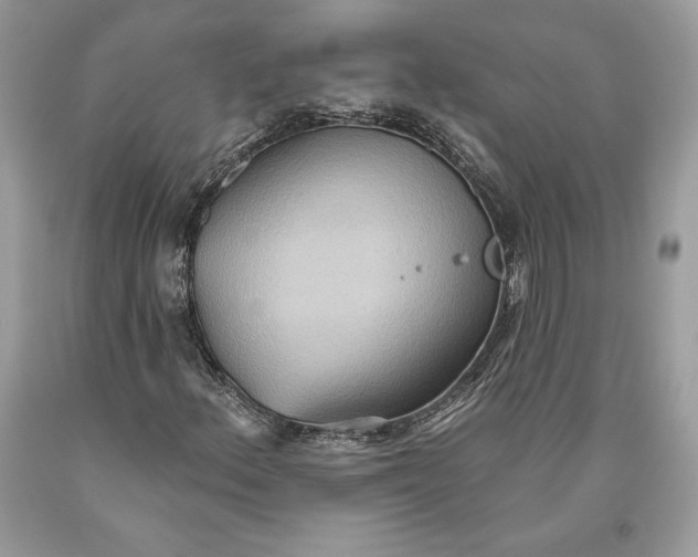 X0000093521156200710261213