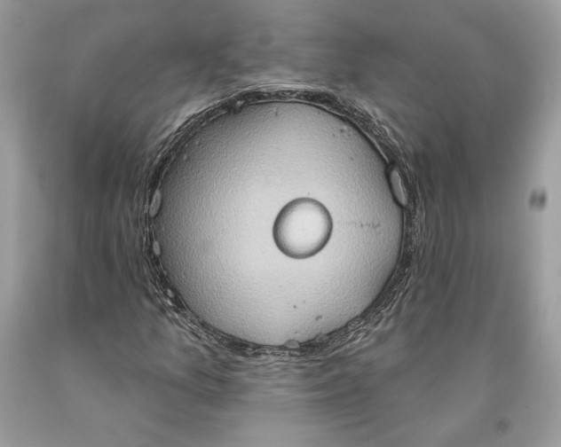 X0000093521157200710261213