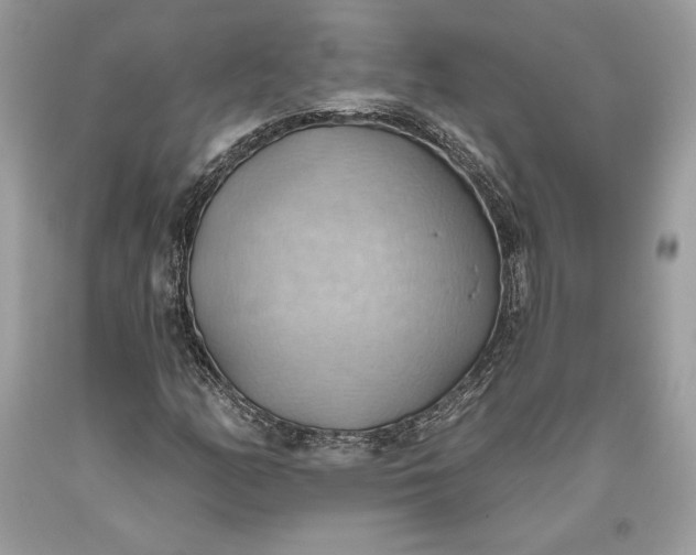 X0000093521158200710261213