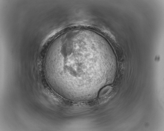 X0000093521159200710261213