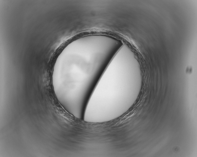 X0000093521160200710261213