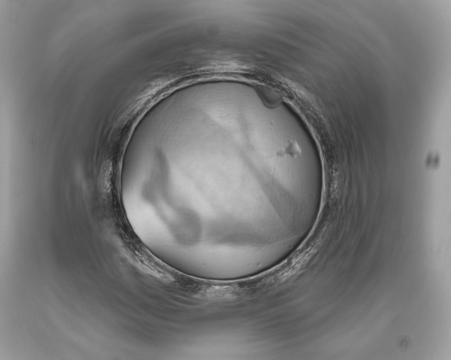 X0000093521161200710261213