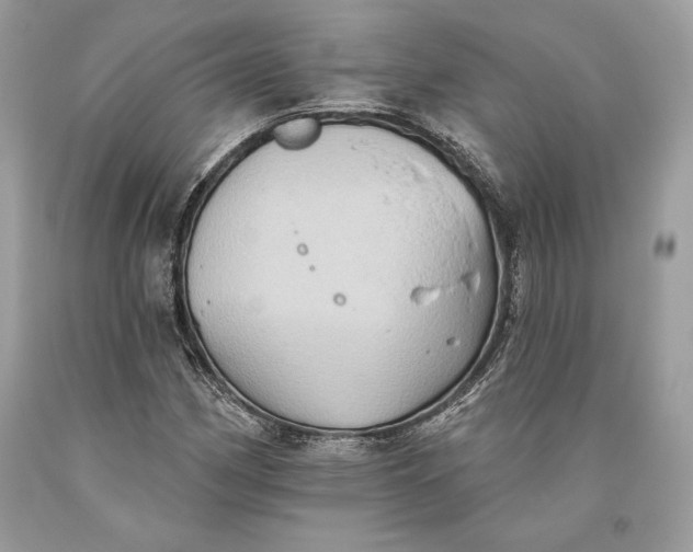 X0000093521162200710261213