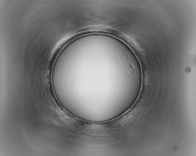 X0000093521164200710261213