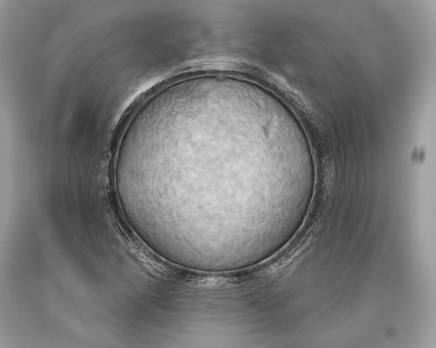 X0000093521166200710261213