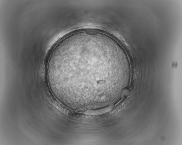 X0000093521167200710261213