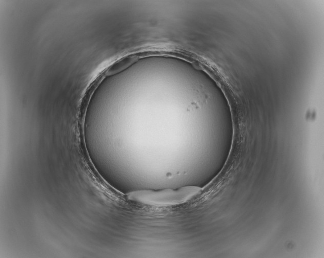 X0000093521168200710261213