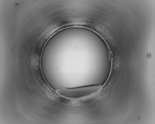 X0000093521169200710261213