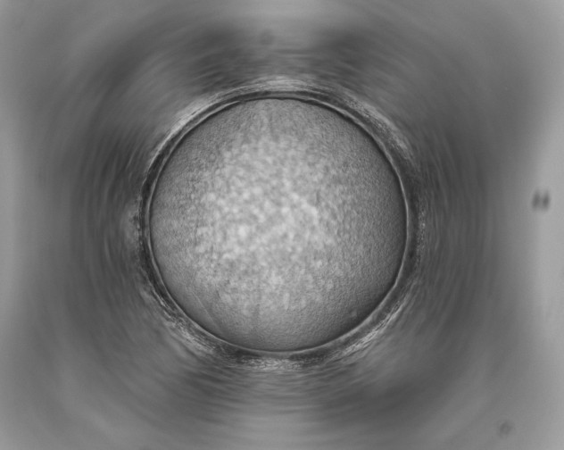 X0000093521170200710261213