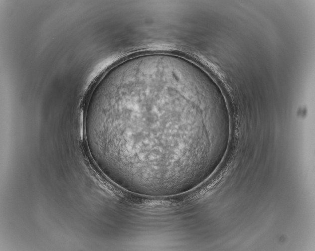 X0000093521171200710261213