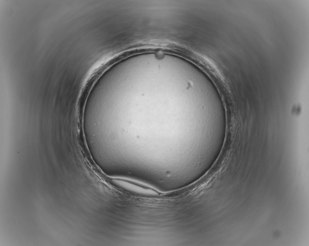 X0000093521172200710261213