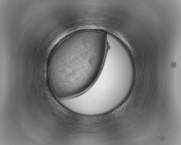 X0000093521173200710261213