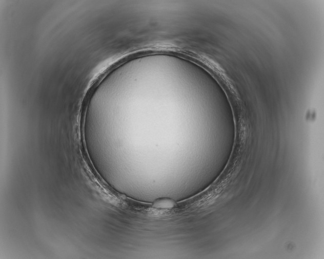 X0000093521176200710261213