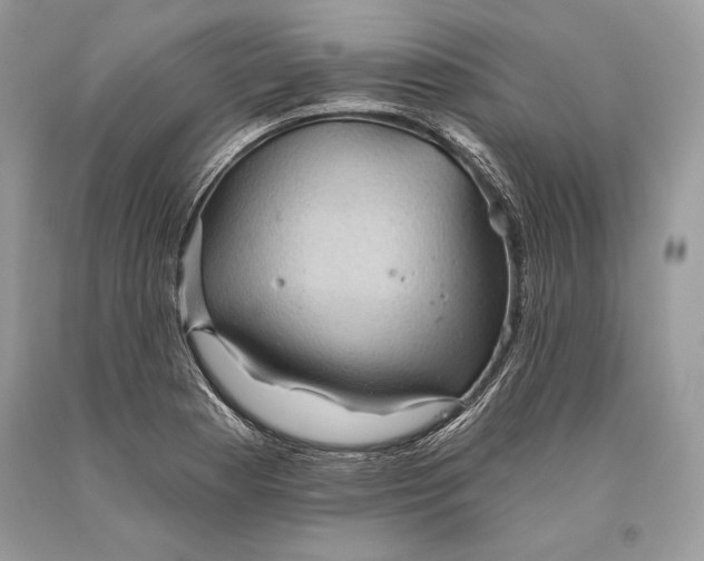 X0000093521177200710261213