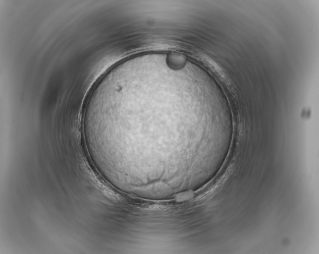 X0000093521178200710261213