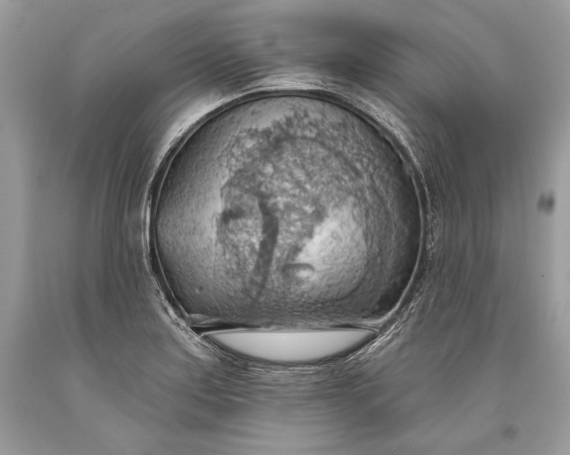 X0000093521179200710261213