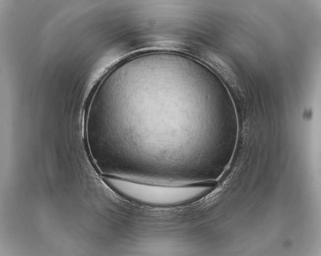 X0000093521180200710261213