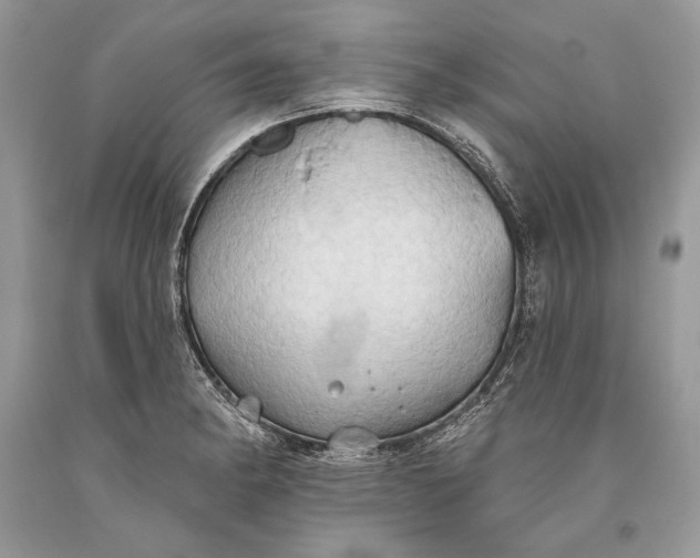 X0000093521182200710261213