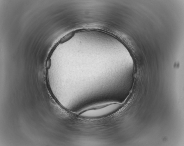 X0000093521184200710261213