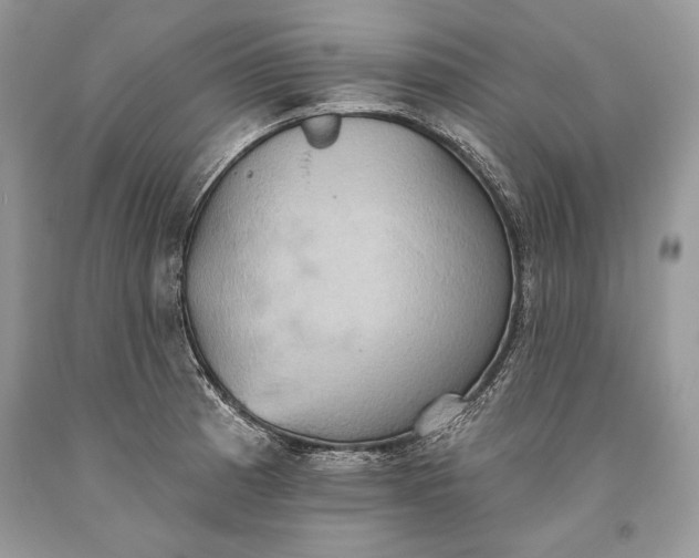 X0000093521185200710261213