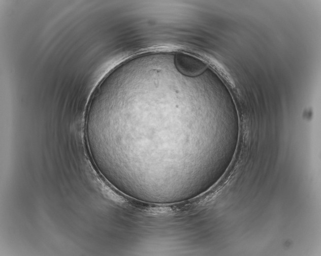 X0000093521186200710261213