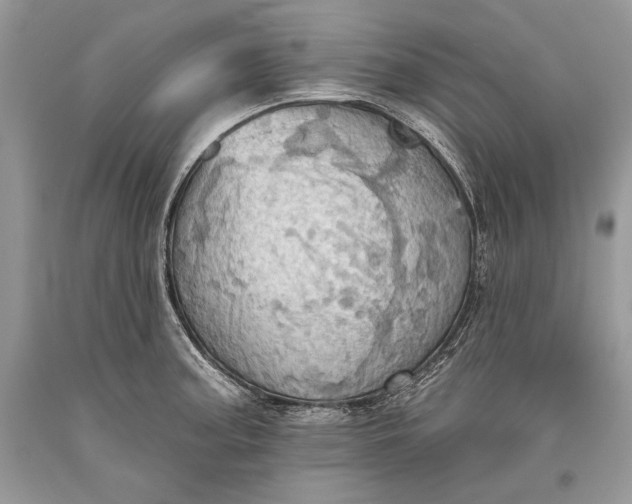 X0000093521187200710261213