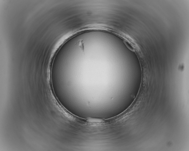 X0000093521188200710261213