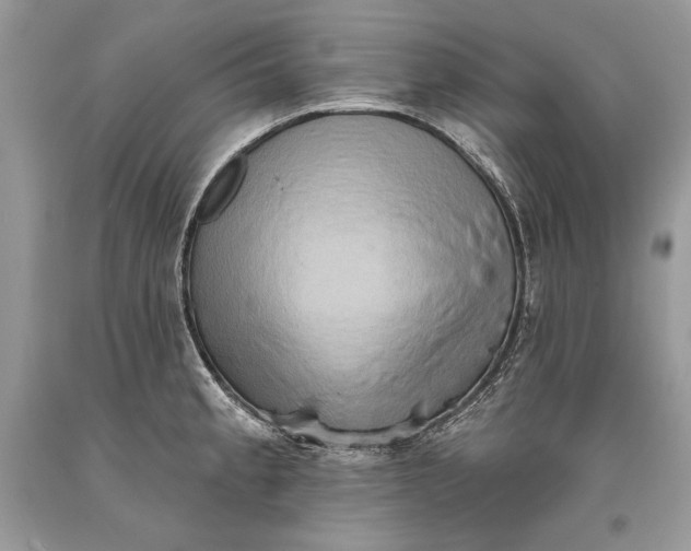 X0000093521189200710261213